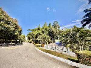 Palma Real (48)