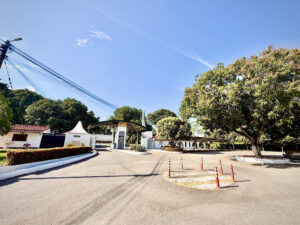 Palma Real (49)